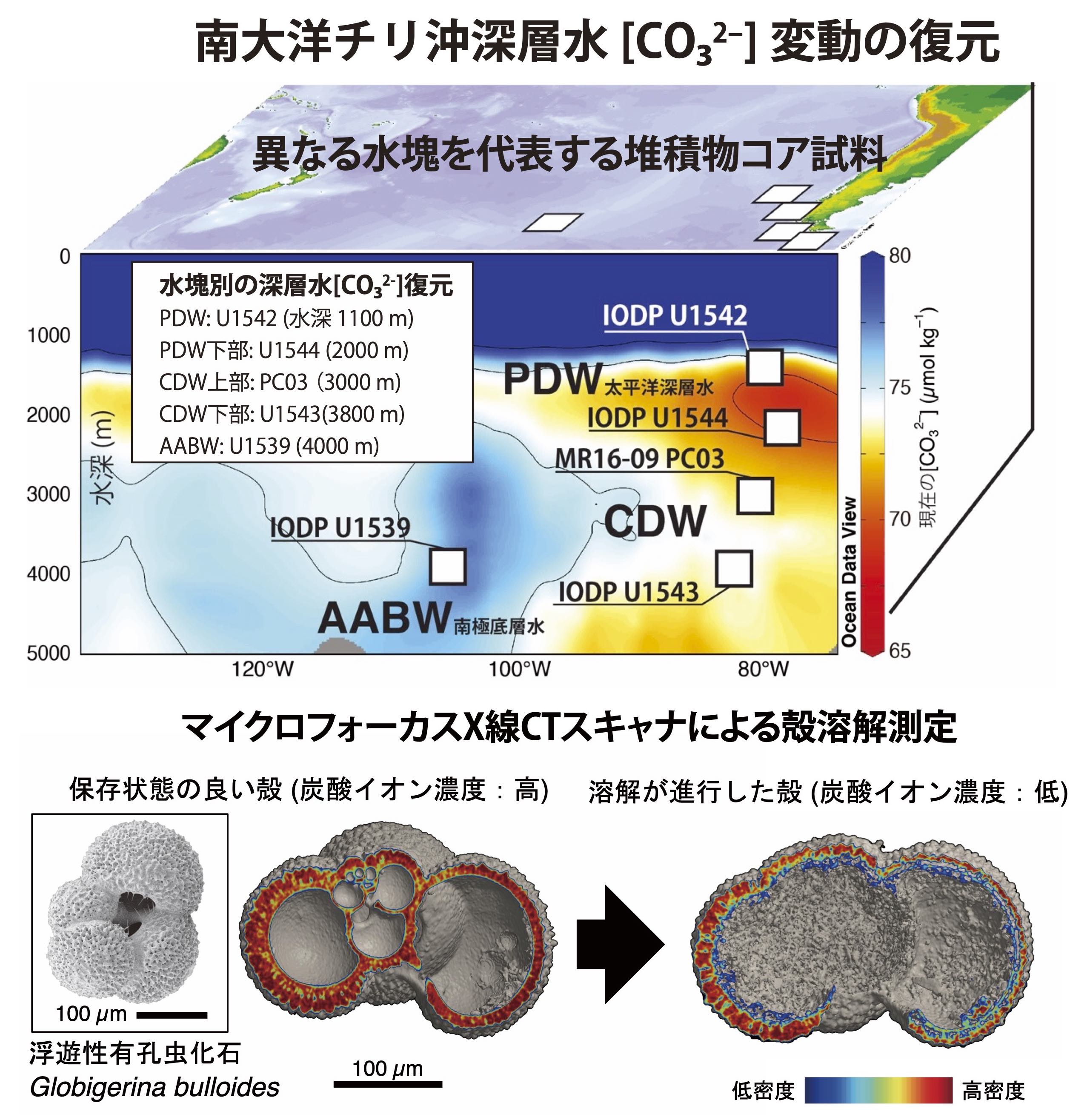 myresearch3-jp